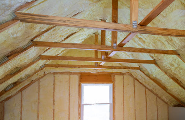 Best Energy Efficiency Insulation in Lake Butler, FL