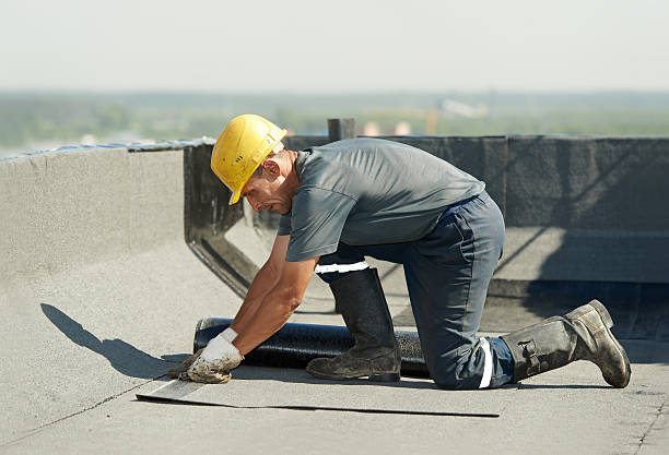 Best Spray Foam Insulation in Lake Butler, FL